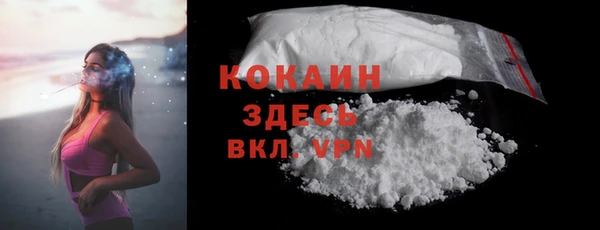 сатива Рославль