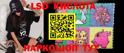 прущие грибы Абакан