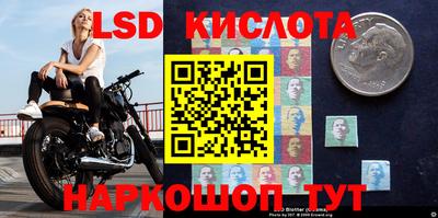 прущие грибы Абакан