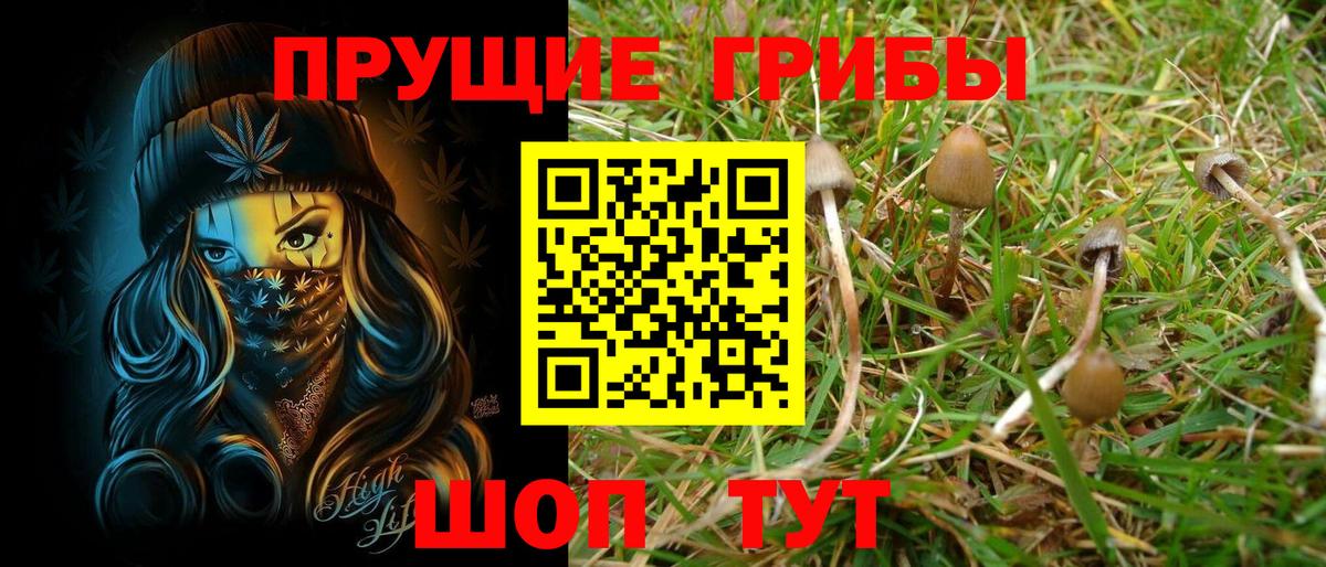 Абинск  Галлюциногенные грибы мицелий  где можно купить   Вход с VPN 