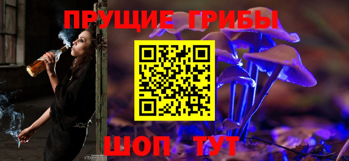 Галлюциногенные грибы Cubensis Абинск